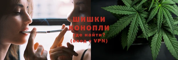 дживик Абаза