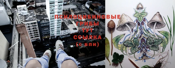 дживик Абаза